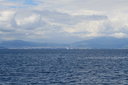gal/cro 08/_thb_small-IMG_5086.JPG